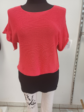 Dressplaner Kurzarm-Pulli rot